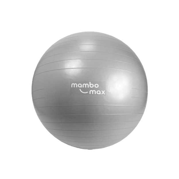Een Mambo balansbal zilver met een diameter van 95cm