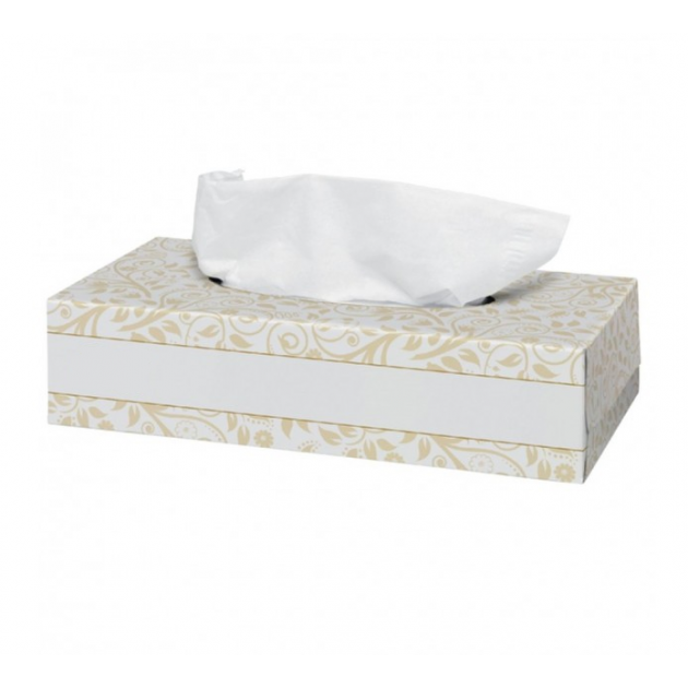 Facial Tissues 21x22cm (100 stuks)